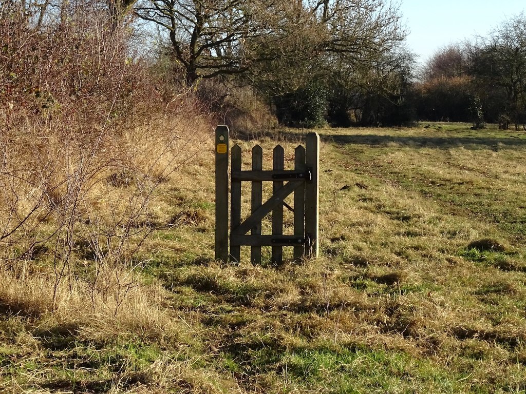 Random fence in a field, which apparently serves little to no purpose.